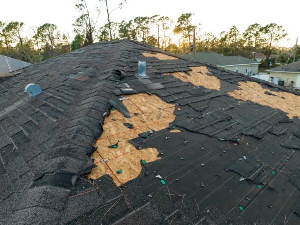 Best Solar Panel Roofing Installation  in Montezuma, GA